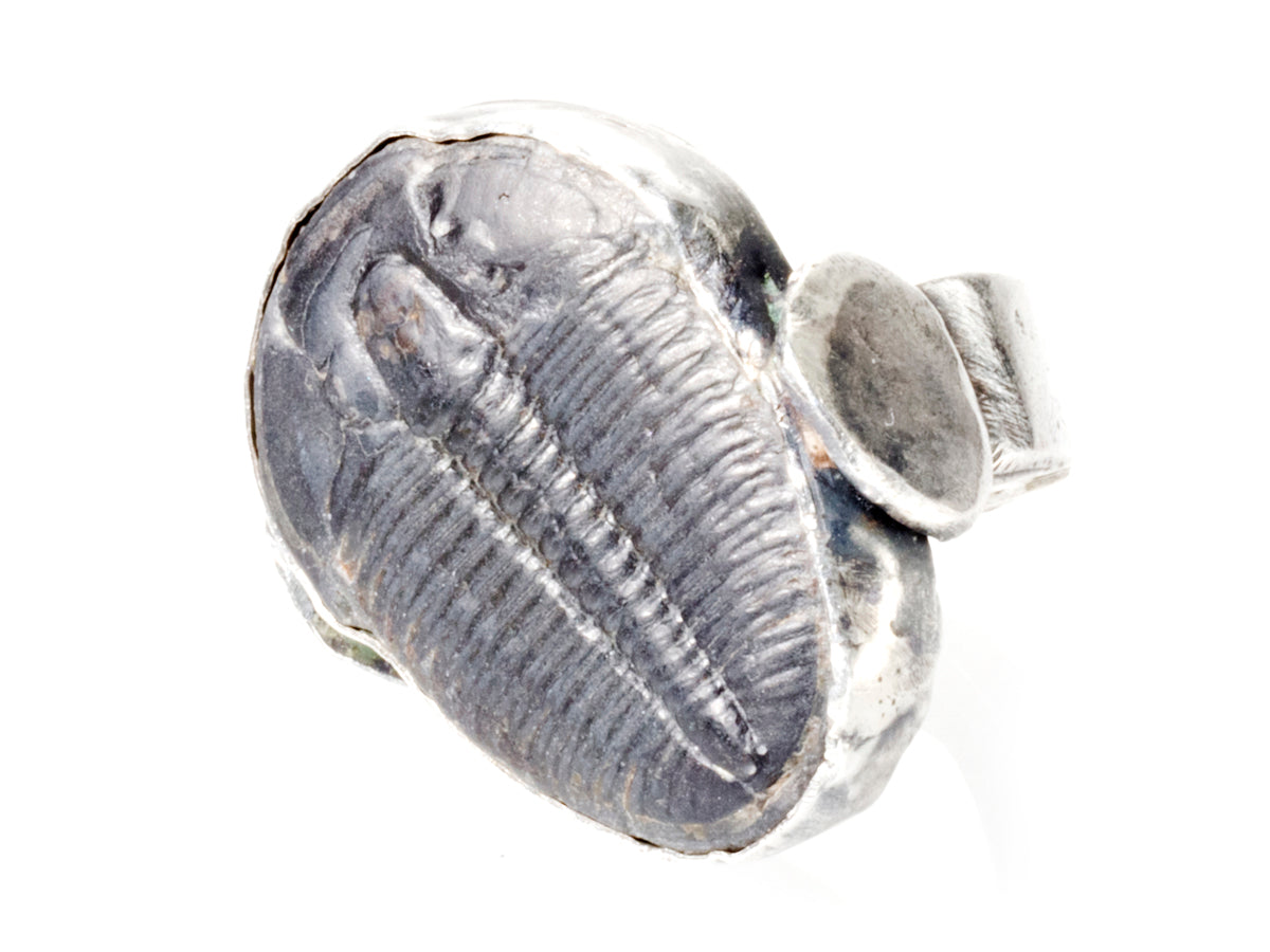 Noconi Ring