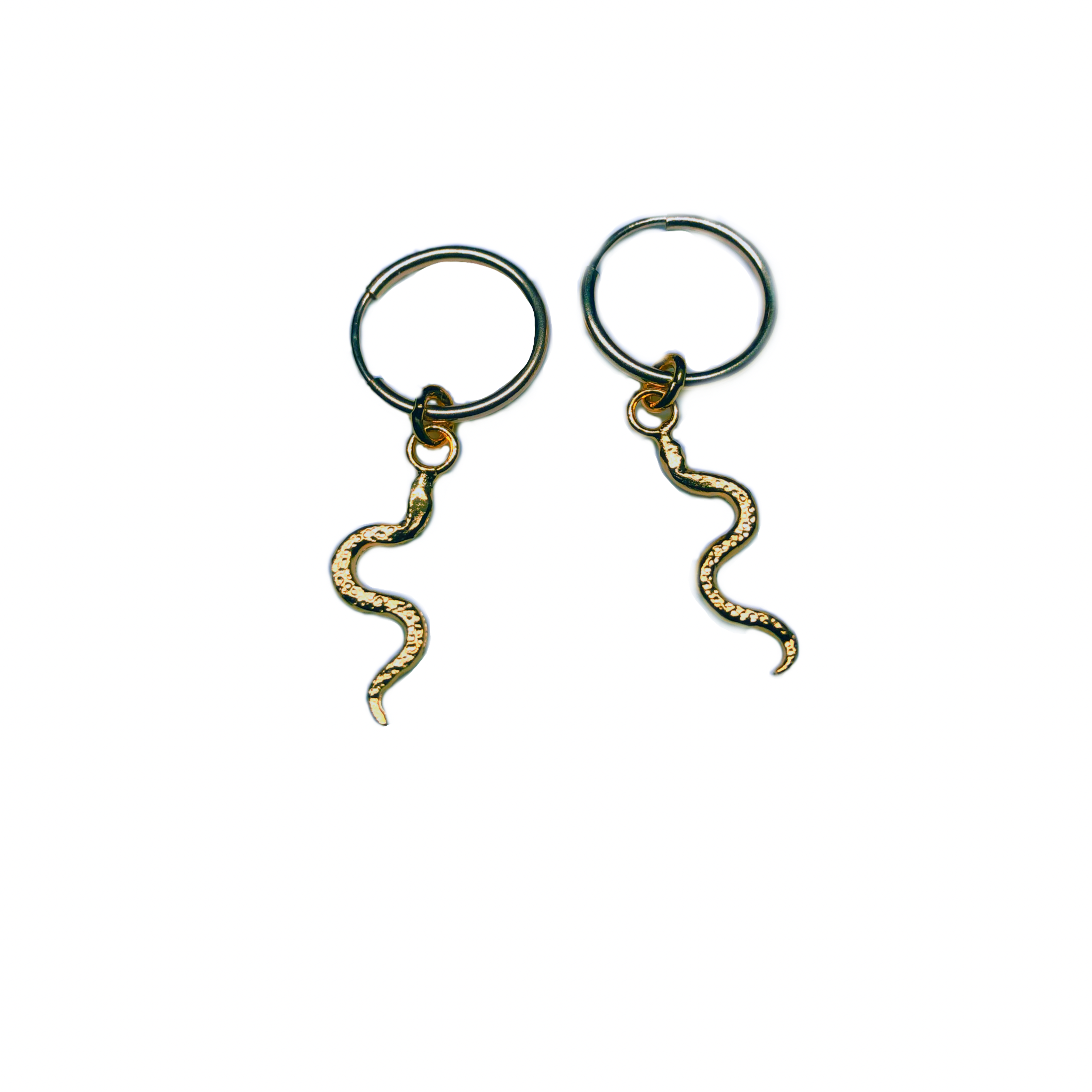 Snake Hoops