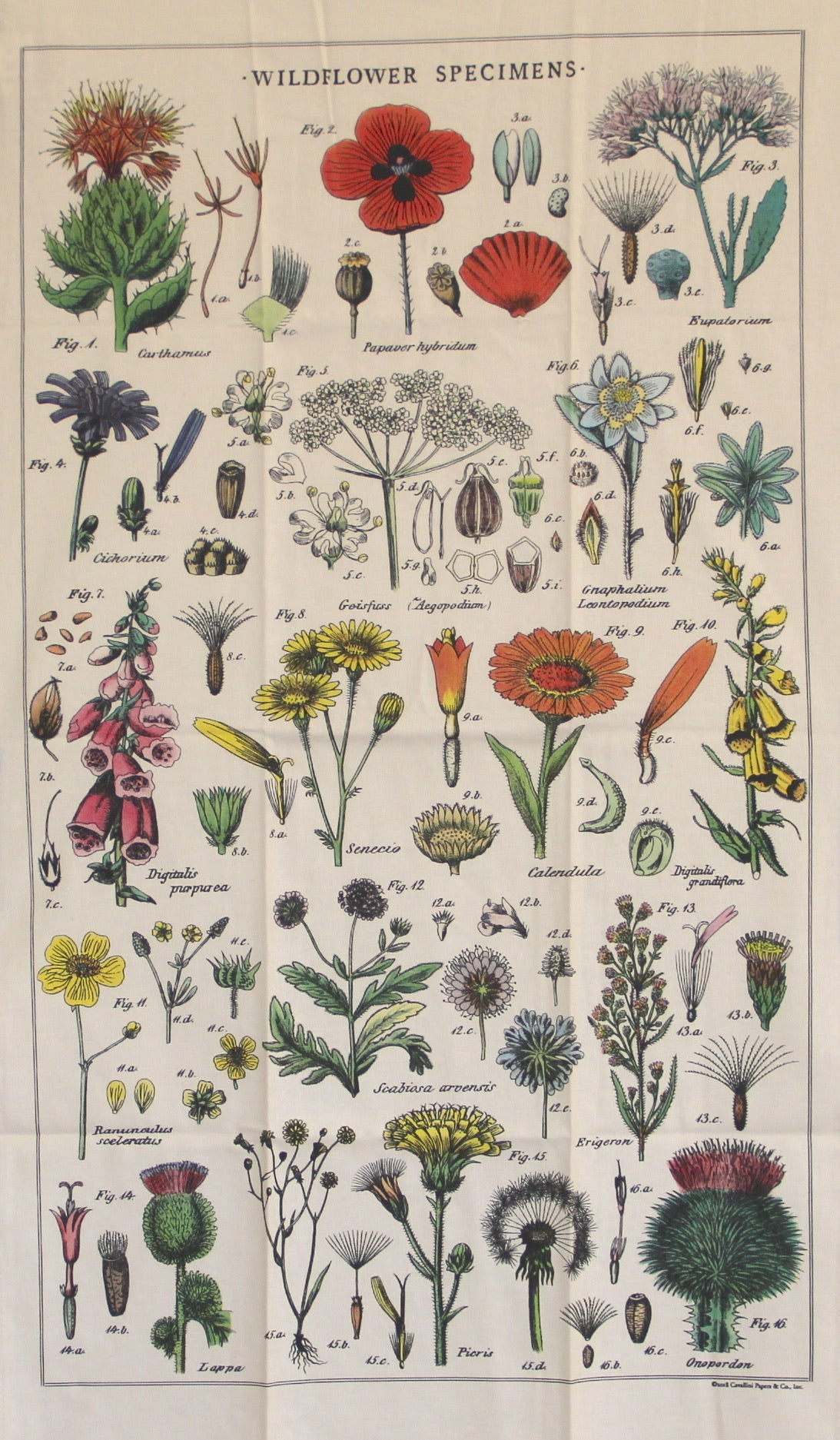 Wild Flower Dish Towel
